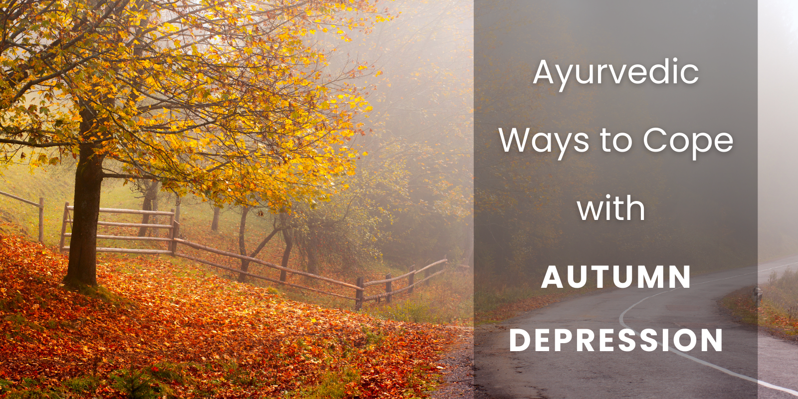 Blog posts Ayurvedic Ways To Cope With Autumn Depression