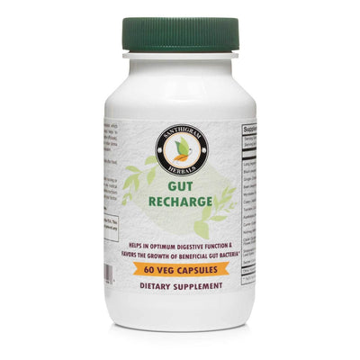 GUT RECHARGE
