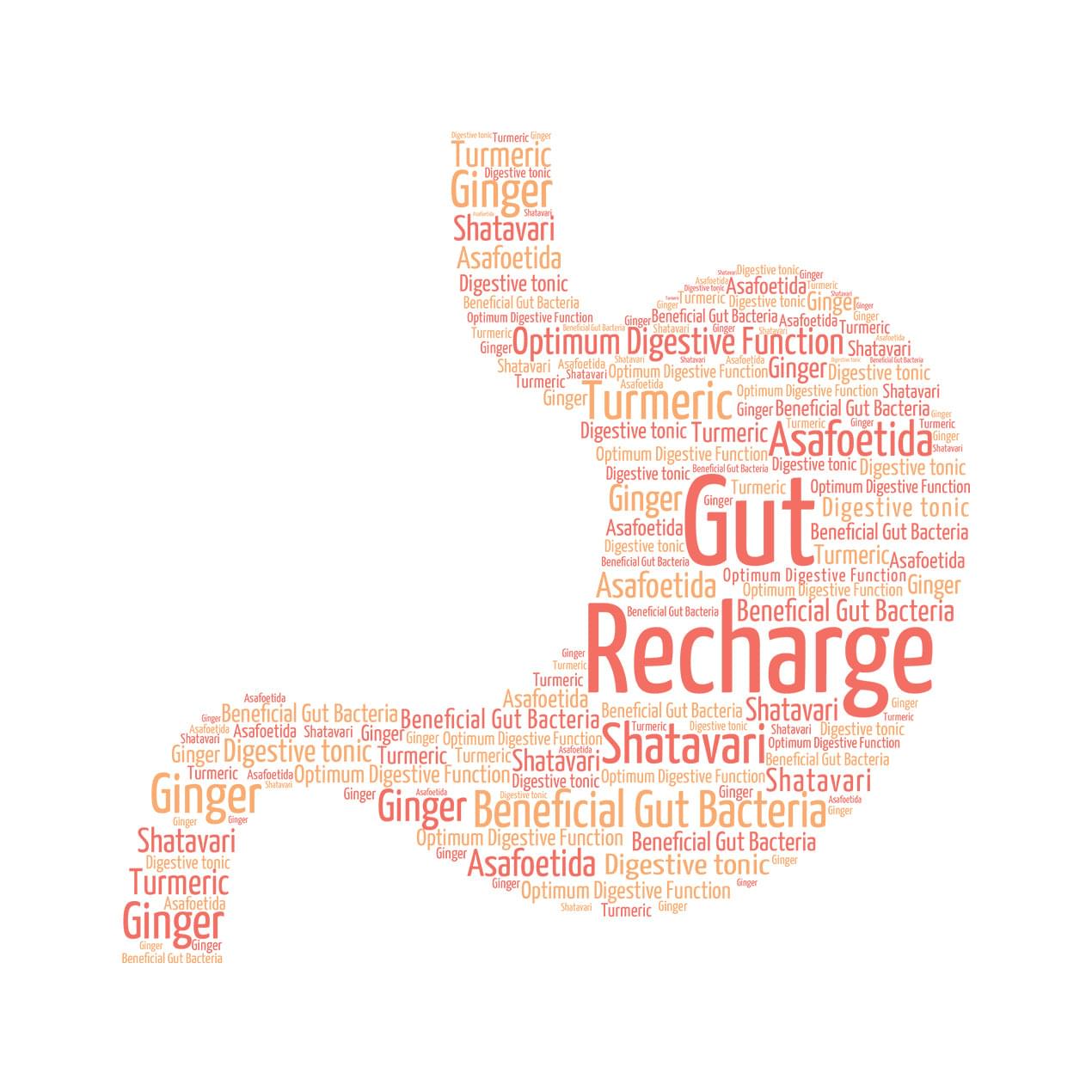 GUT RECHARGE